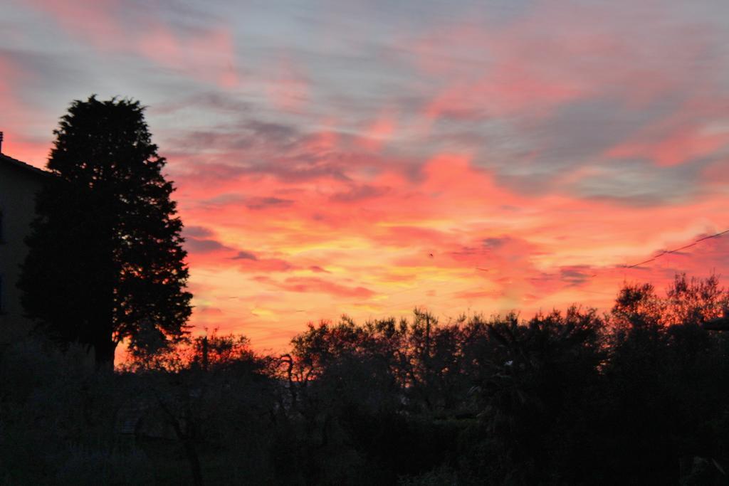 Podere Oliveta Poggibonsi Exteriör bild